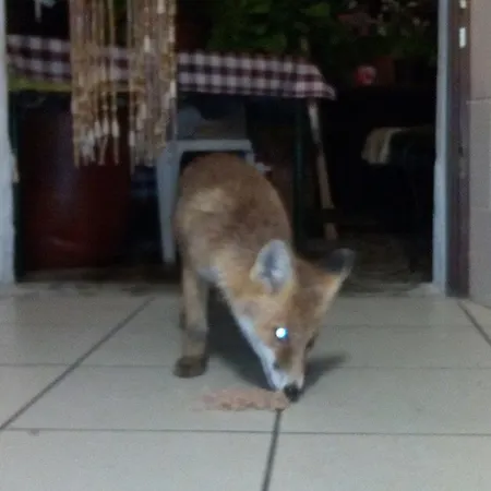 Affittacamere Bocchetto Sessera Andorno Micca