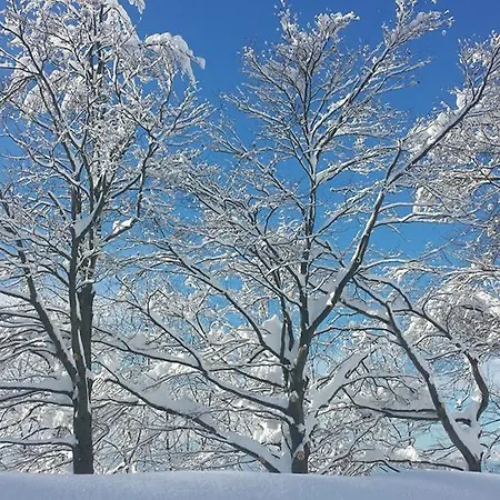 Affittacamere Bocchetto Sessera 3*