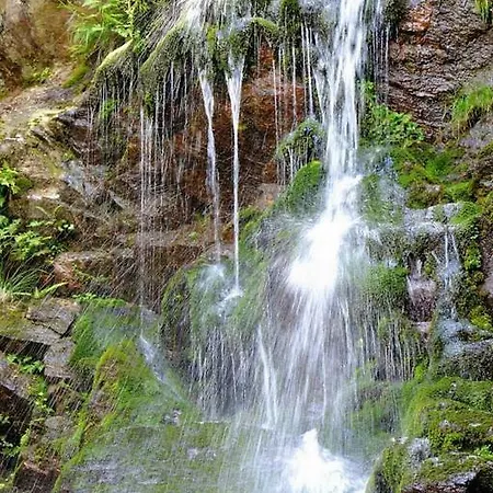 洛坎达波切托瑟赛拉旅馆 Andorno Micca