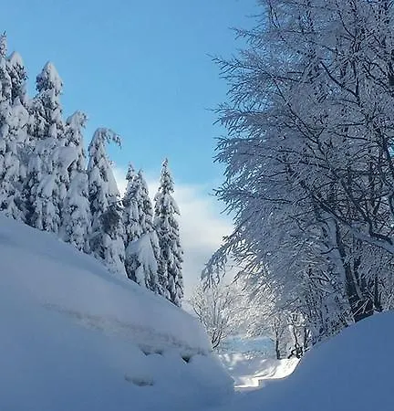 Vendégház Bocchetto Sessera 3*