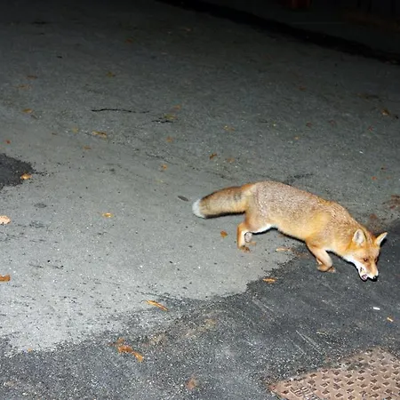 Bocchetto Sessera Andorno Micca